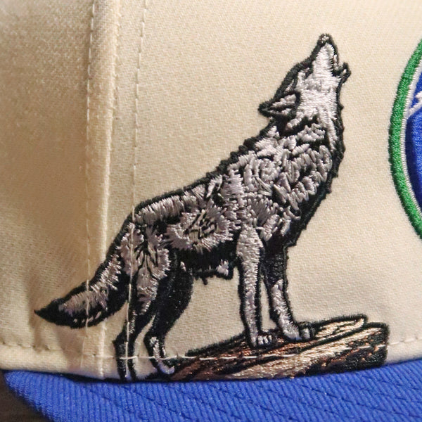 New Era Minnesota Timberwolves Hardwood Classics 2Tone 9FIFTY A-Frame Snapback