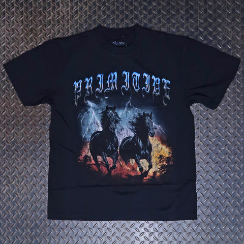 Primitive Storm Heavyweight T-Shirt Black PAPSP2561