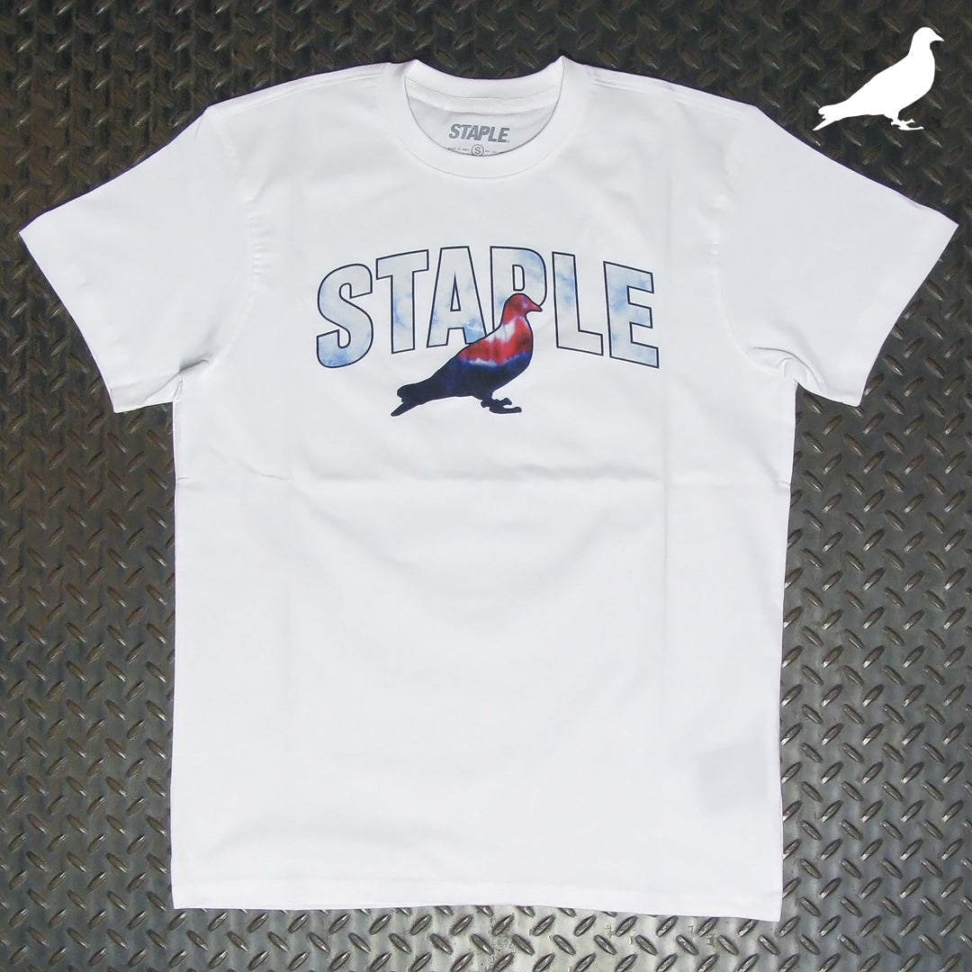 Staple Tie Dye Logo T-Shirt 2105C6546